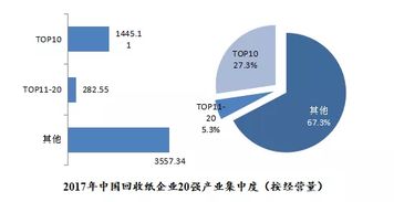 再生資源回收 推動(dòng)綠色循環(huán)經(jīng)濟(jì)的中國實(shí)踐